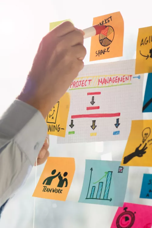 Bedrijfsorganisatie en management